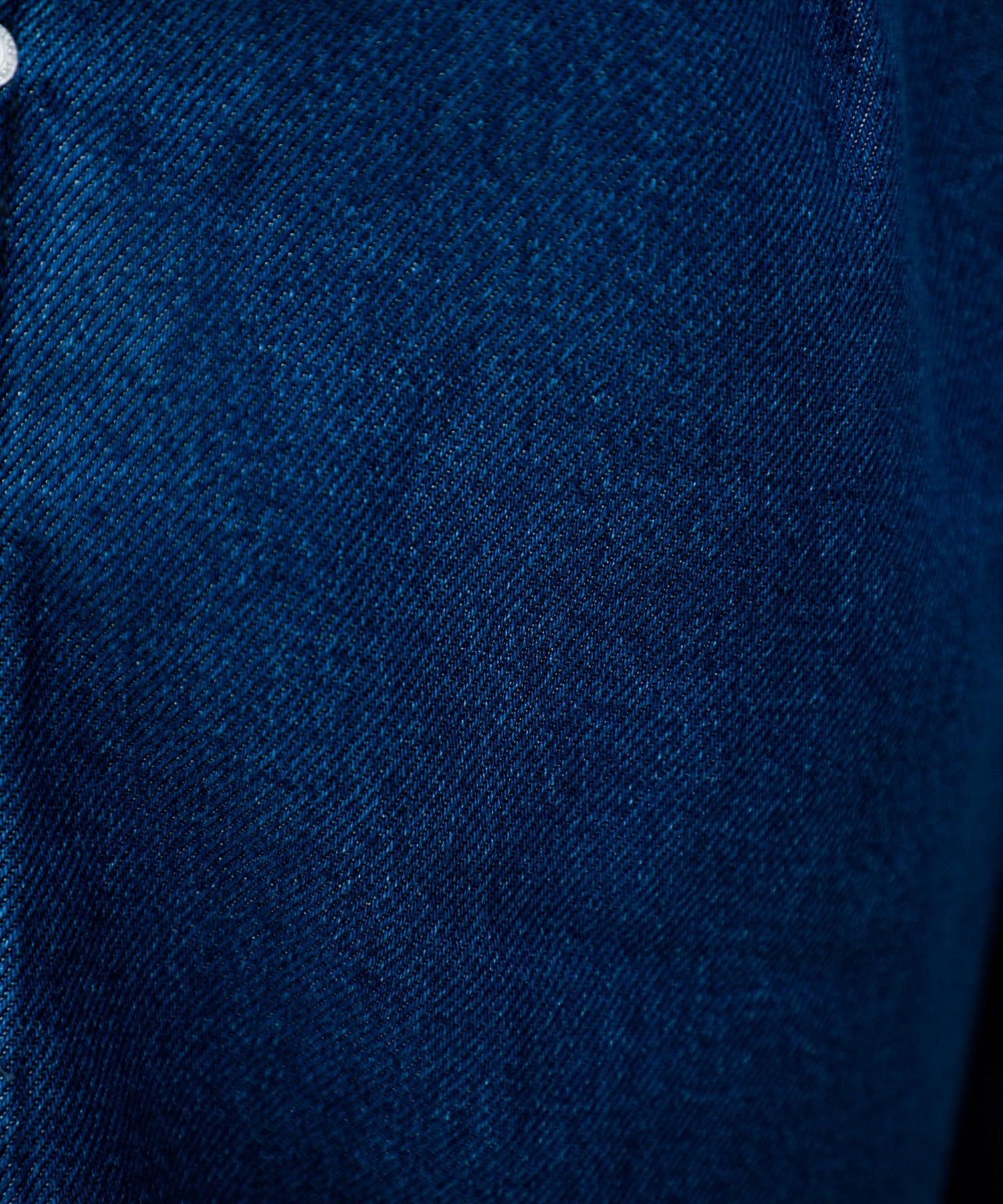 PUBLIC DENIM TRO BUGGY SHORTS